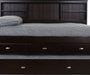 2923 - Full Bookcase Daybed in Espresso - Discovery World Furniture