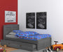 4230R-TRUND - Twin Platform Bed in Gray with Trundle - Discovery World Furniture