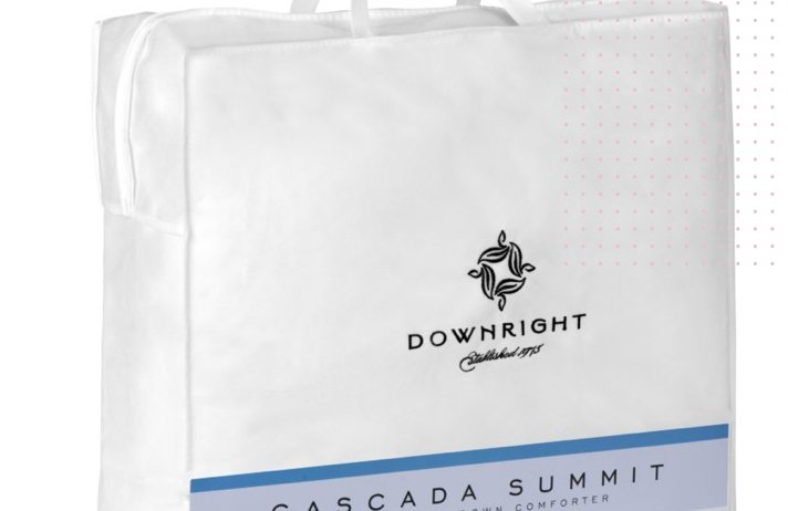 Cascada Summit White Goose Down Comforter - Downright