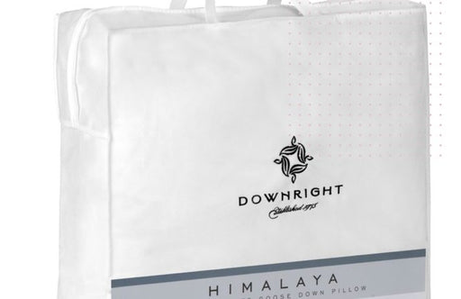 Himalaya Polish White Goose Down Comforter - Downright